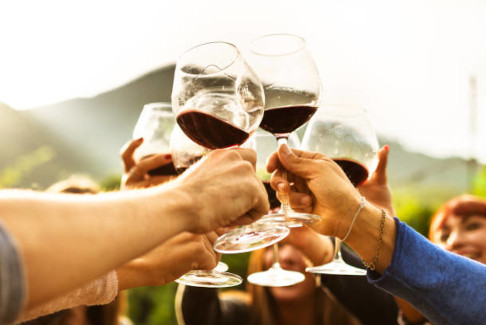 friends doing a wine tasting